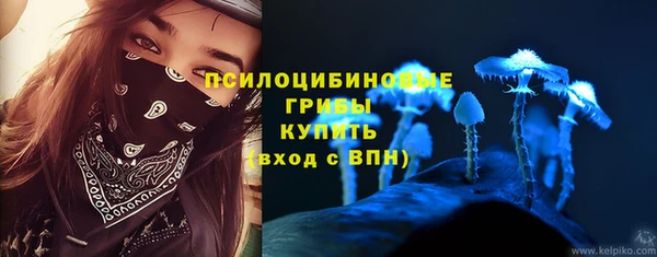 ECSTASY Алексин