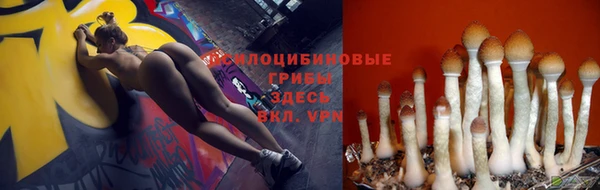 ECSTASY Алексин